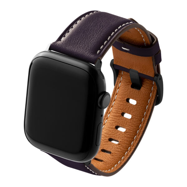 beepio 悠遊卡 Apple Watch 錶帶 感應 表帶 皮革